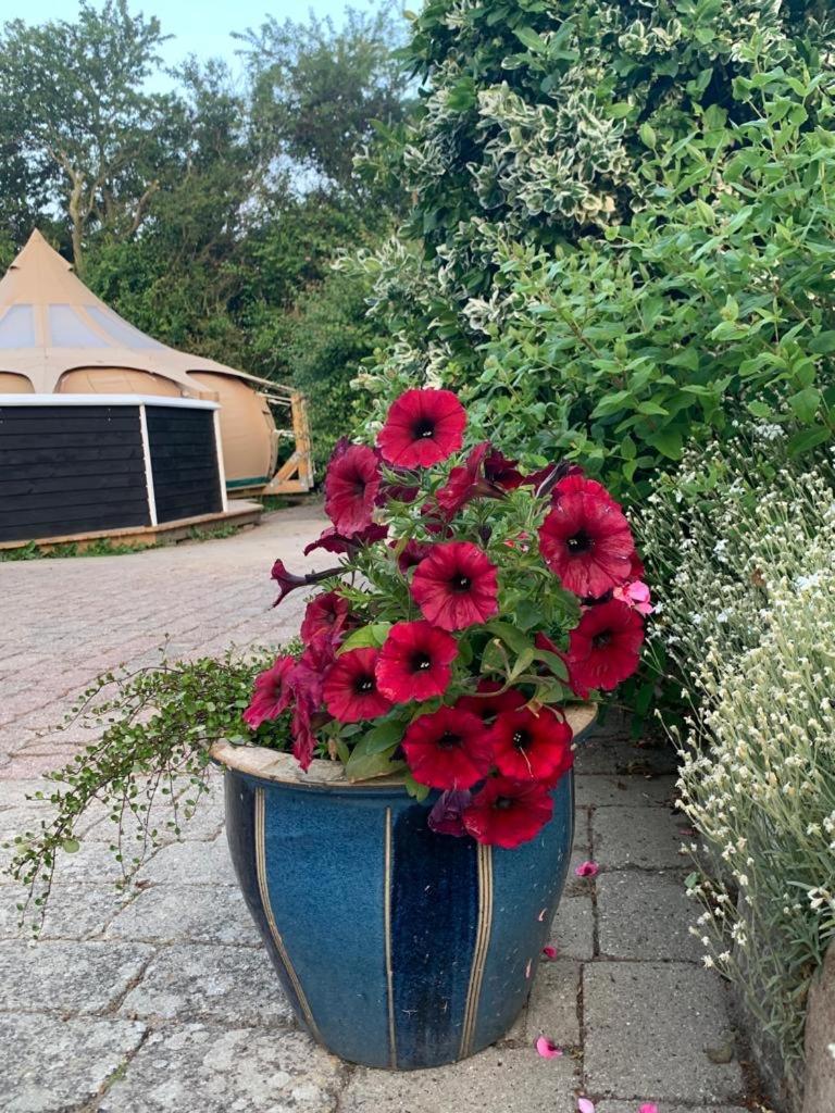 Romantic Luxus Glamping 1 Idestrup Exterior foto