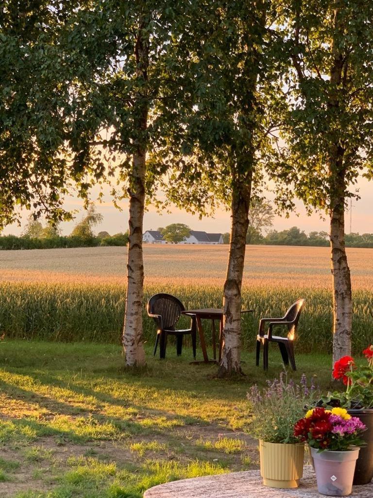 Romantic Luxus Glamping 1 Idestrup Exterior foto